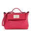 Evercolor Swift 24/24 21 Framboise
