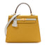 Chevre Mysore Horseshoe Kelly Sellier 25 Jaune Ambre Bleu Glacier