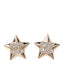 Metal Crystal CC Star Earrings Gold
