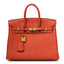 Togo Birkin 25 Terre Battue