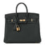 Togo Birkin 25 Vert Mangrove
