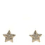 Crystal Star CC Stud Earrings Silver