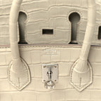 Matte Alligator Birkin 25 Beton