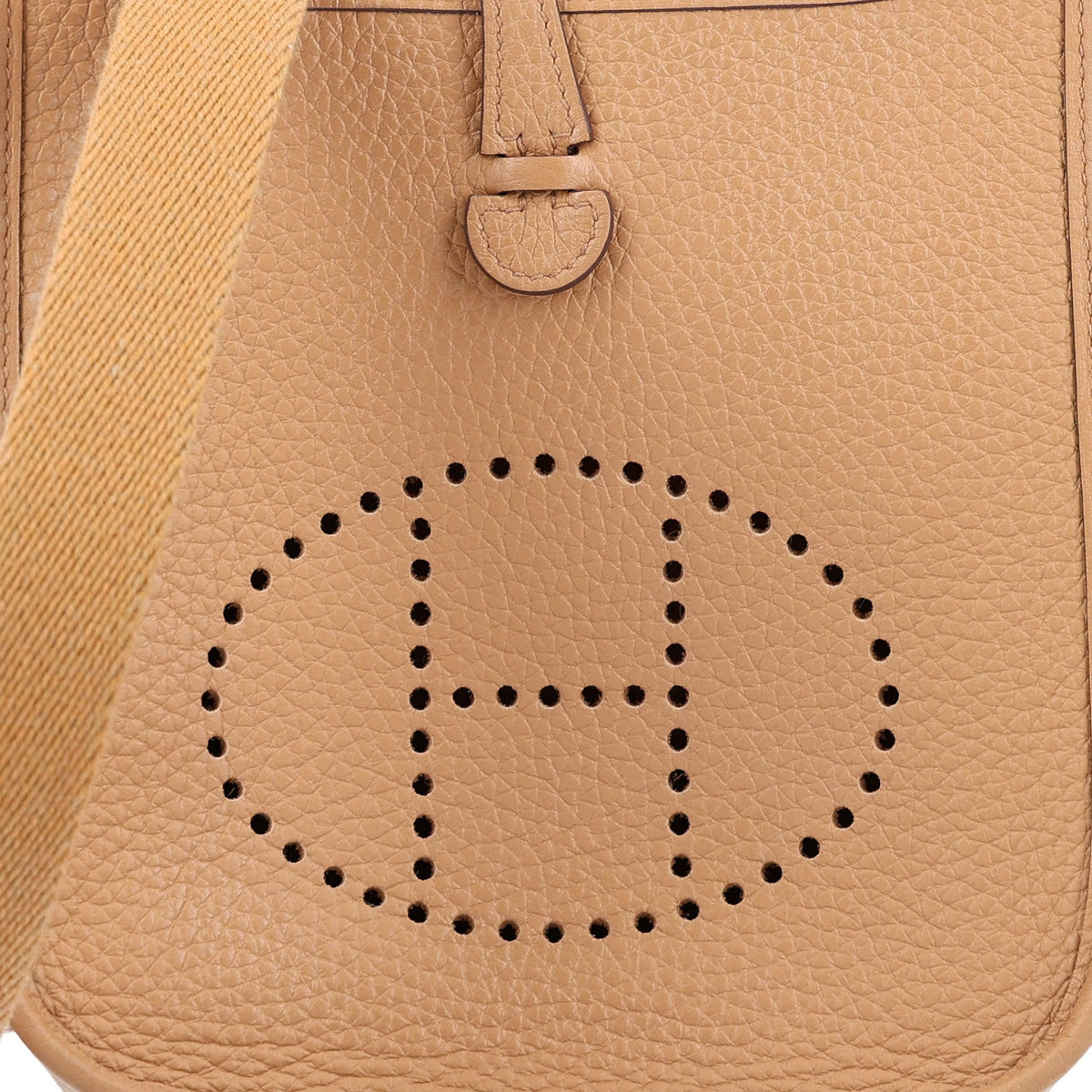 Taurillon Clemence Evelyne TPM Biscuit