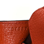 Togo Birkin 25 Terre Battue