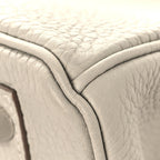 Togo BIRKIN 30 Gris Perle