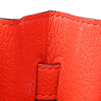 Togo Birkin 30 Capucine