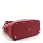 Taurillon Clemence Bolide 31 Rubis
