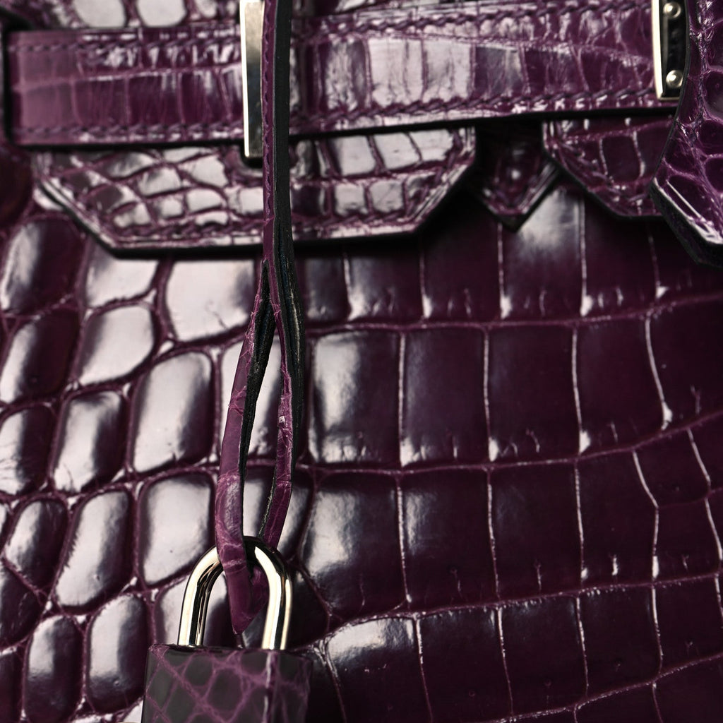 Shiny Niloticus Crocodile Birkin 30 Cassis
