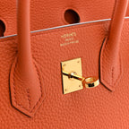 Togo Birkin 25 Terre Battue