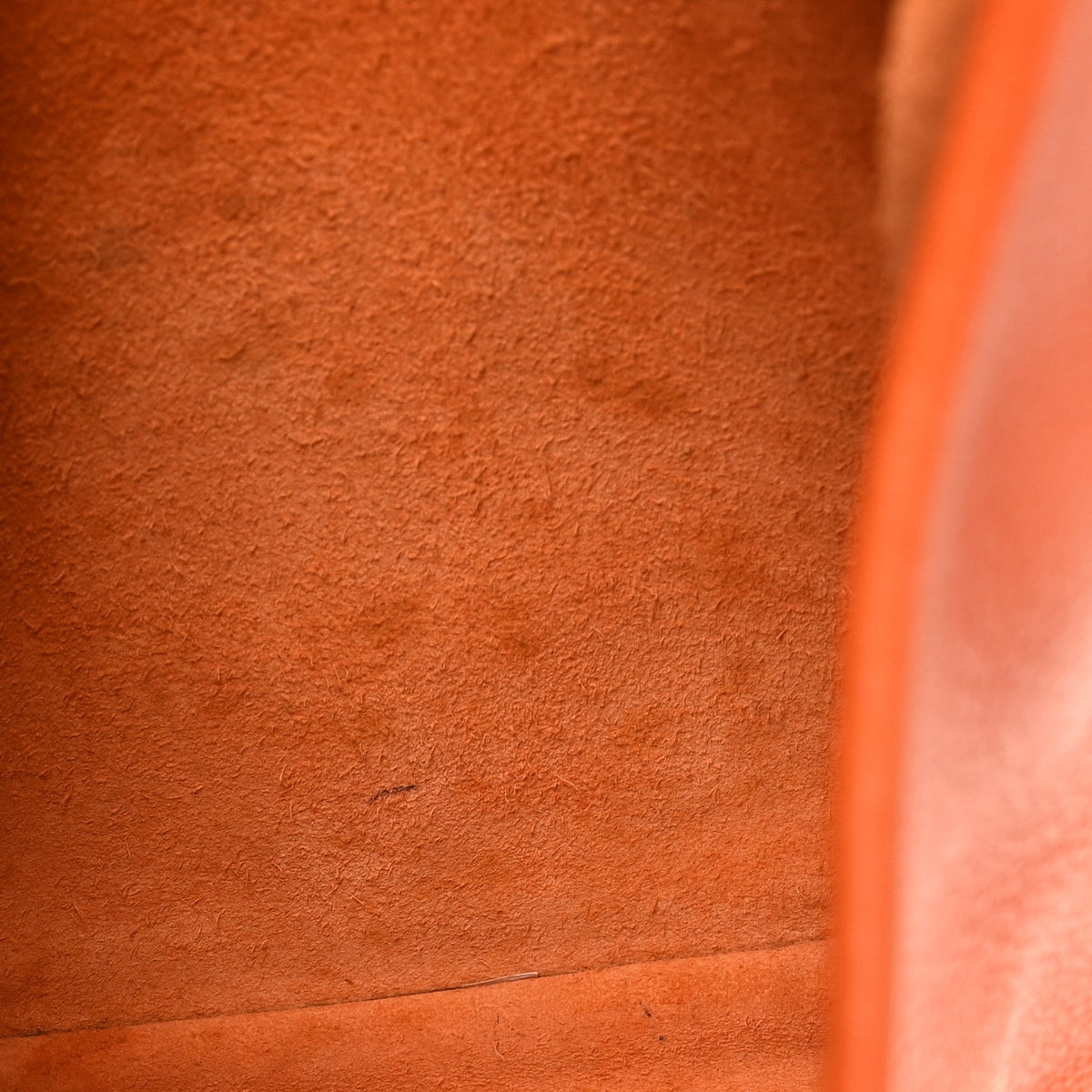 Taurillon Clemence Evelyne III GM Orange