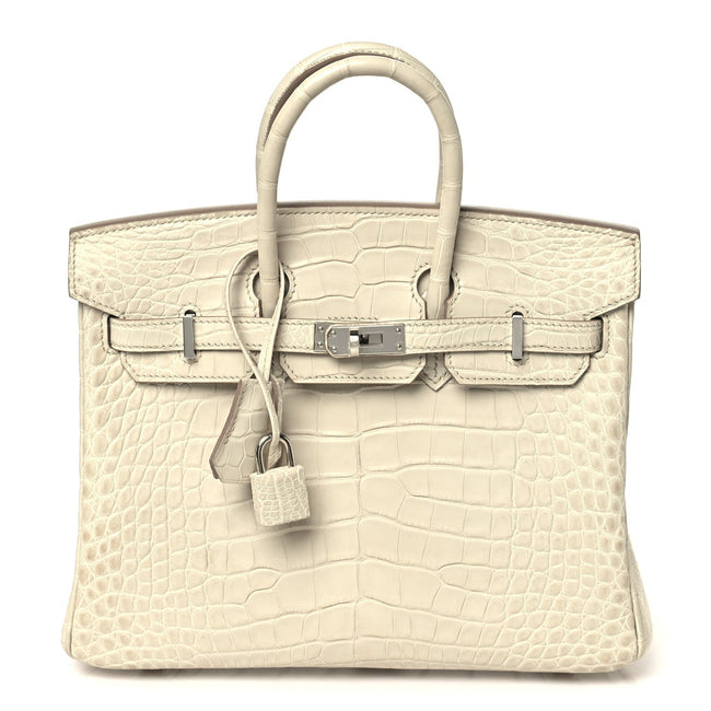 Matte Alligator Birkin 25 Beton Main Image