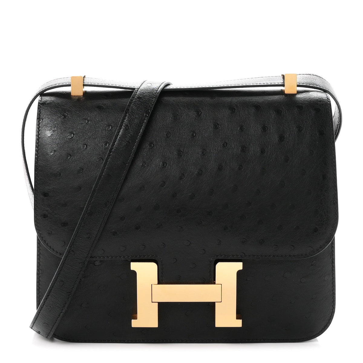 Ostrich Constance 24 Black