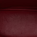 Taurillon Clemence Bolide 31 Rubis