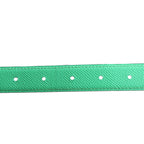 Swift Epsom 24mm Mini Constance H Belt 90 36 Menthe Rose Azalee
