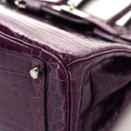 Shiny Niloticus Crocodile Birkin 30 Cassis