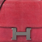 Lizard Constance 18 Fuchsia