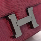 Lizard Constance 18 Fuchsia