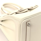 Swift Birkin 25 Mushroom