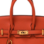 Togo Birkin 25 Terre Battue