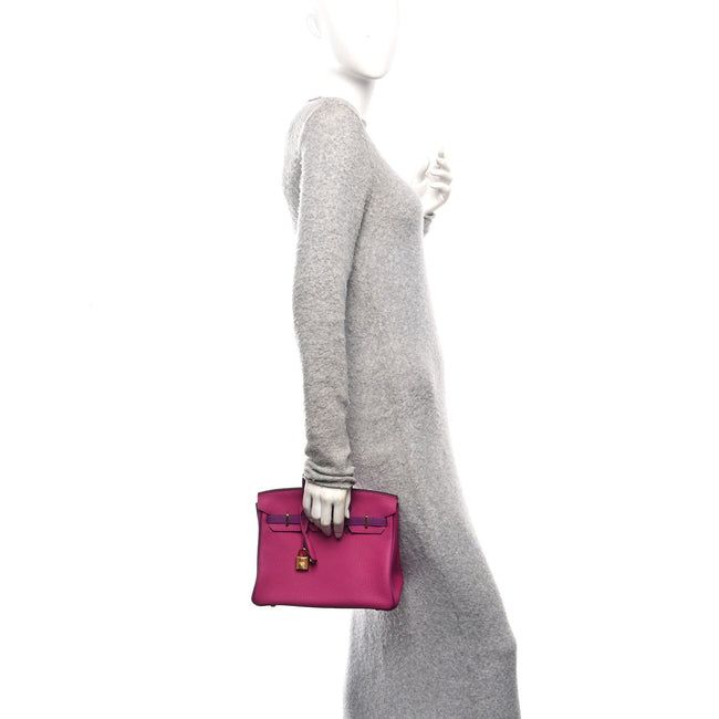 Togo Horseshoe Birkin 25 Rose Pourpre Cassis Main Image