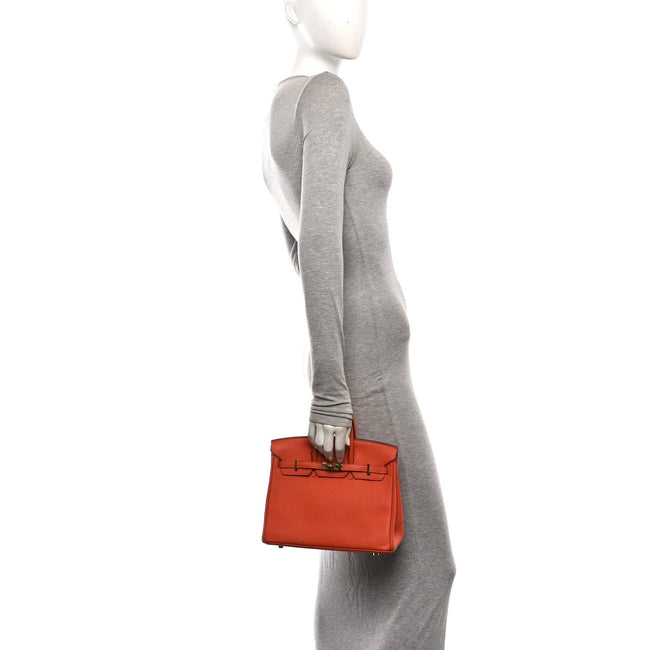 Togo Birkin 25 Terre Battue Main Image