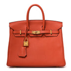 Togo Birkin 25 Terre Battue