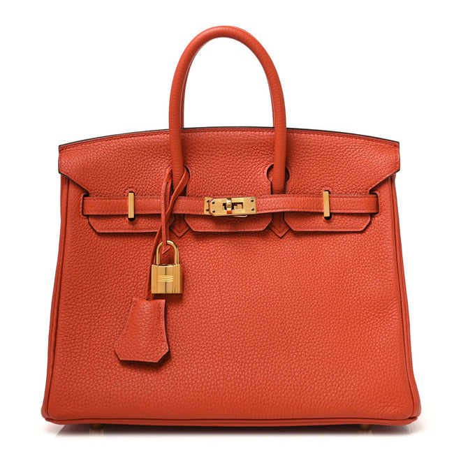 Togo Birkin 25 Terre Battue Hover Image
