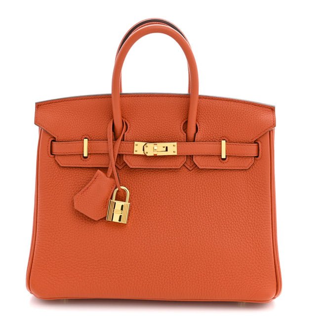 Togo Birkin 25 Terre Battue Hover Image