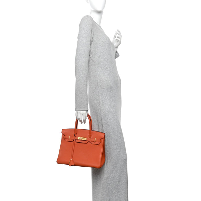 Togo Birkin 30 Terre Battue Main Image