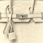 Matte Alligator Birkin 25 Beton