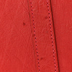 Ostrich Birkin 30 Rouge Vif
