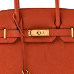 Togo Birkin 30 Terre Battue