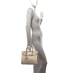 Matte Niloticus Crocodile Birkin 30 Parchemin
