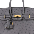 Ostrich Birkin 25 Gris Agate