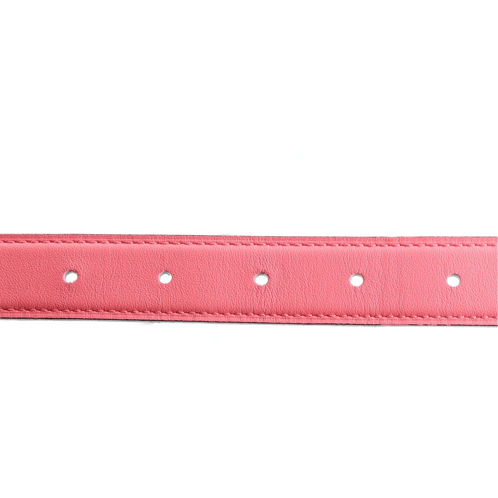 Swift Epsom 24mm Mini Constance H Belt 90 36 Menthe Rose Azalee