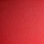 Ostrich Birkin 30 Rouge Vif