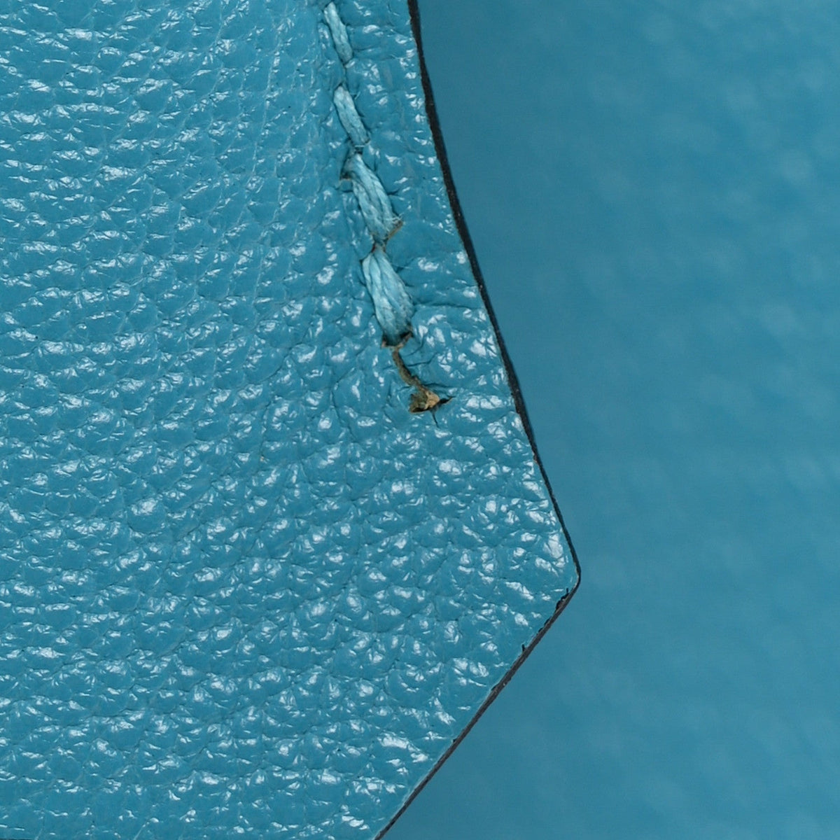 Chevre de Coromandel Birkin 30 Turquoise