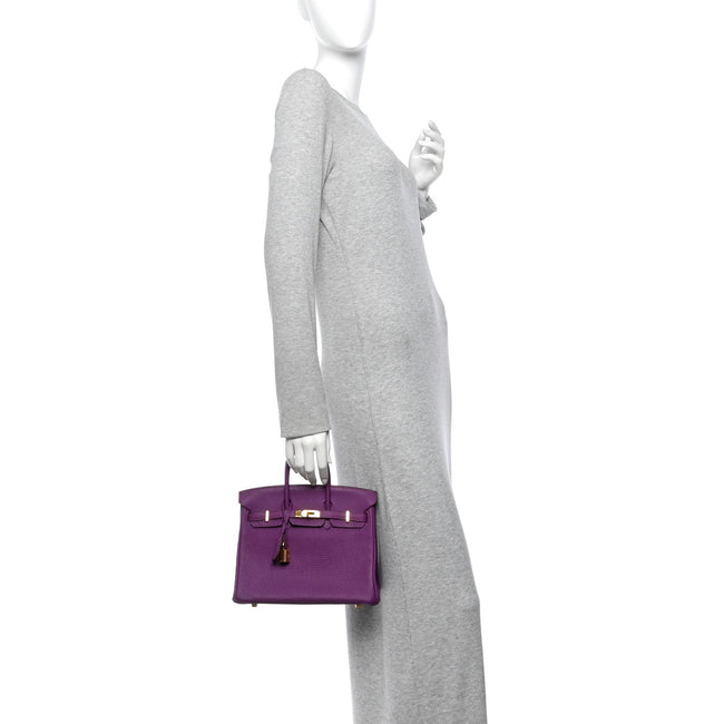 Togo Birkin 25 Anemone Main Image