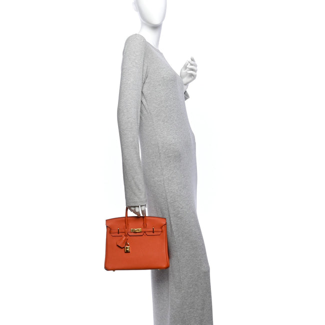 Togo Birkin 25 Terre Battue Main Image
