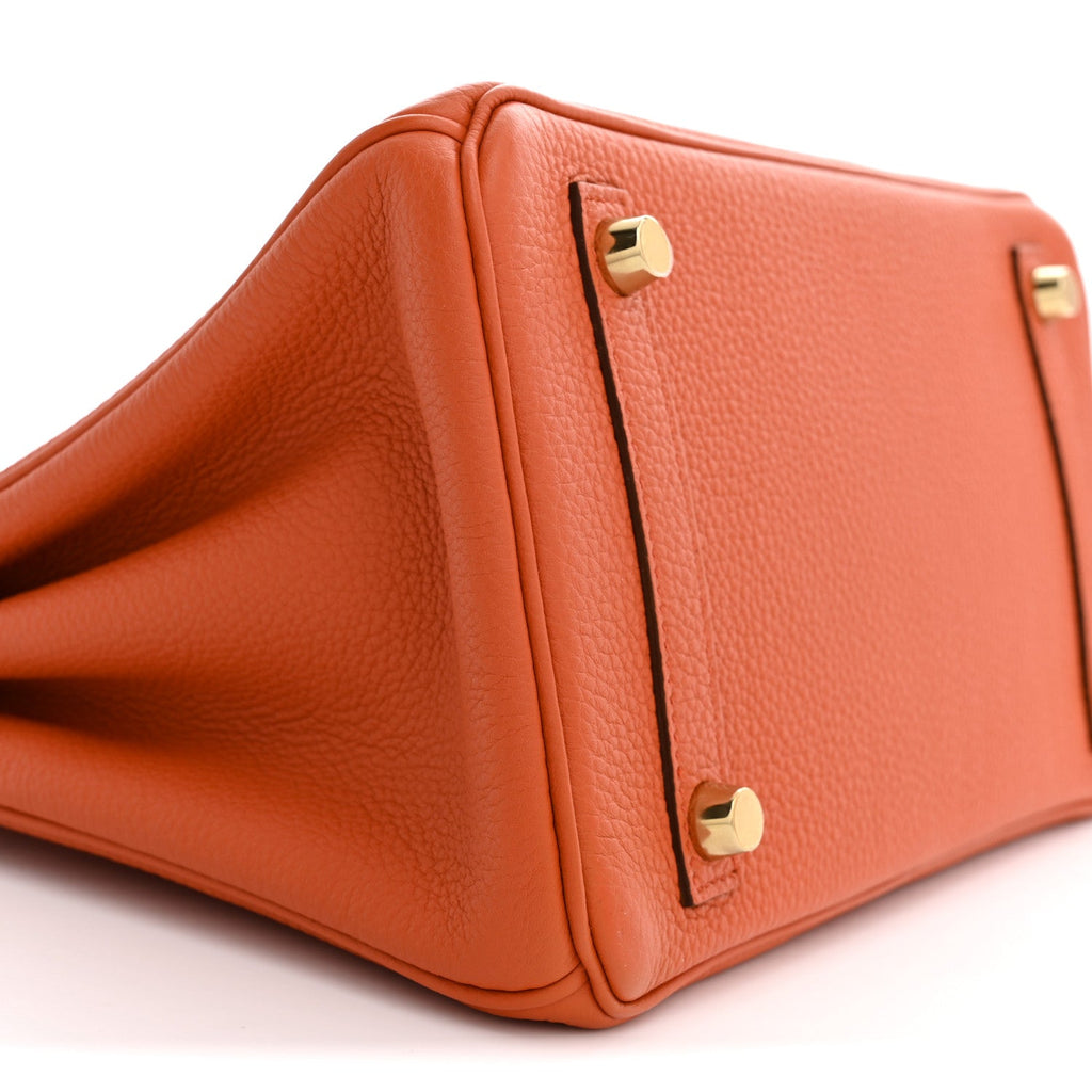 Togo Birkin 25 Terre Battue