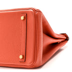 Togo Birkin 30 Terre Battue