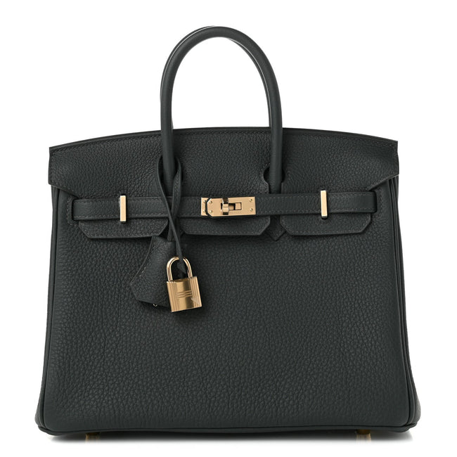 Togo Birkin 25 Vert Mangrove Hover Image
