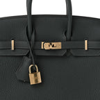 Togo Birkin 25 Vert Mangrove