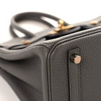 Togo Birkin 25 Etain