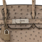 Ostrich Birkin 30 Mousse