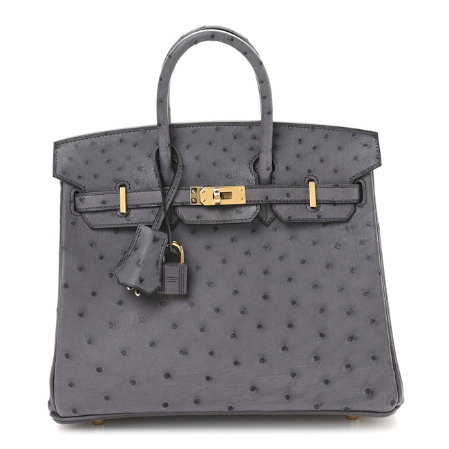 Ostrich Birkin 25 Gris Agate Hover Image